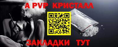 шишки Тара