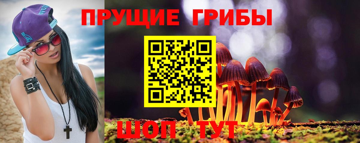 Псилоцибиновые грибы прущие грибы Баксан