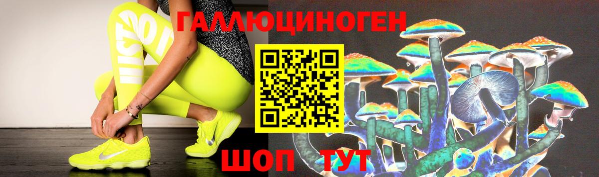 Галлюциногенные грибы Psilocybe  Вход с VPN  Баксан 